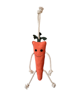 Zabawka dla konia "Carrot" York