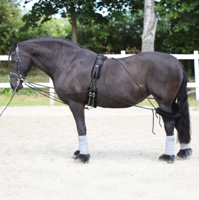 Pomoc treningowa typu Pessoa York