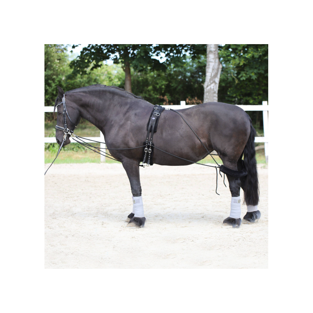 Pomoc treningowa typu Pessoa York