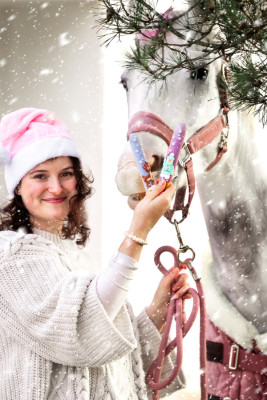 Paluchy "Christmas" Candy Horse