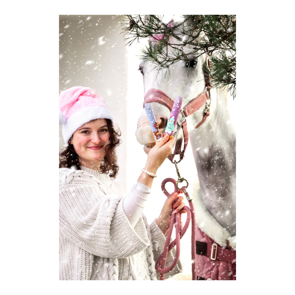 Paluchy "Christmas" Candy Horse