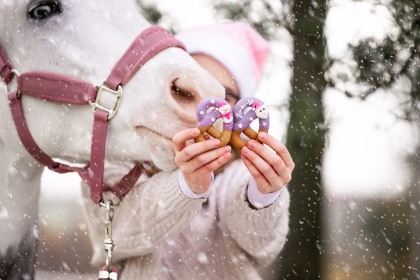 Precle "Christmas" Candy Horse