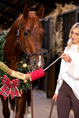 Gryzak ziołowy "Christmas" Candy Horse