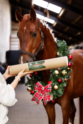 Gryzak ziołowy "Christmas" Candy Horse