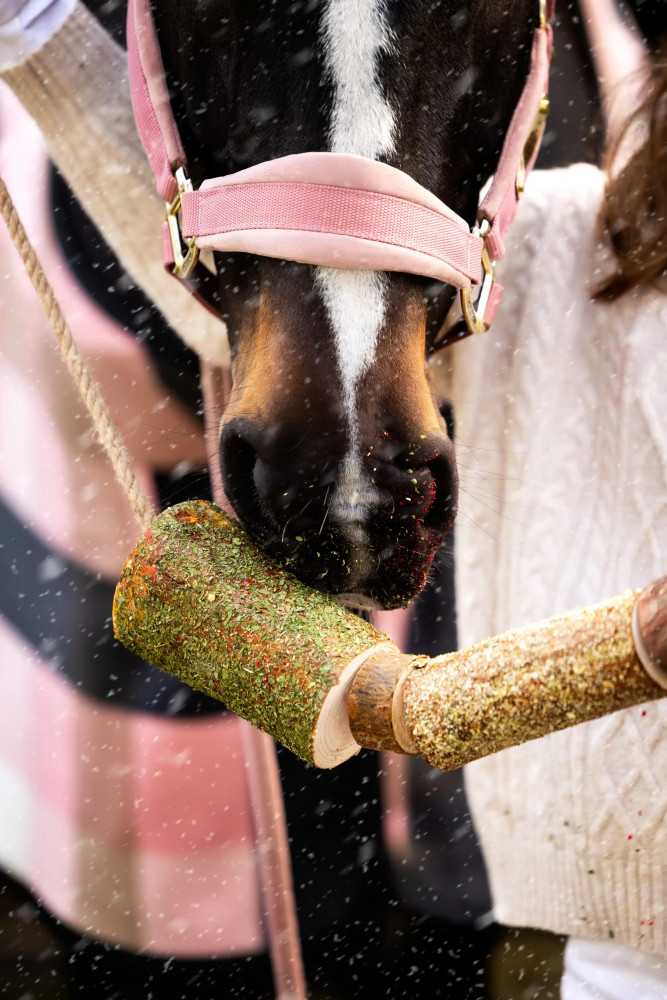 Gryzak ziołowy "Christmas" Candy Horse