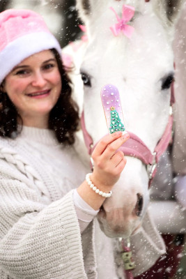Ekler "Christmas" Candy Horse