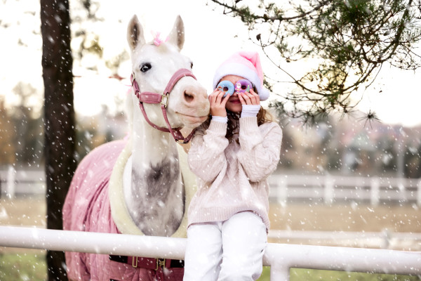 Donuty "Christmas" Candy Horse