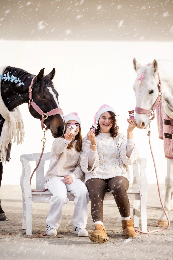 Ciasteczko sówka "Christmas" Candy Horse