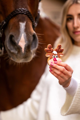 Ciasteczko renifer "Christmas" Candy Horse