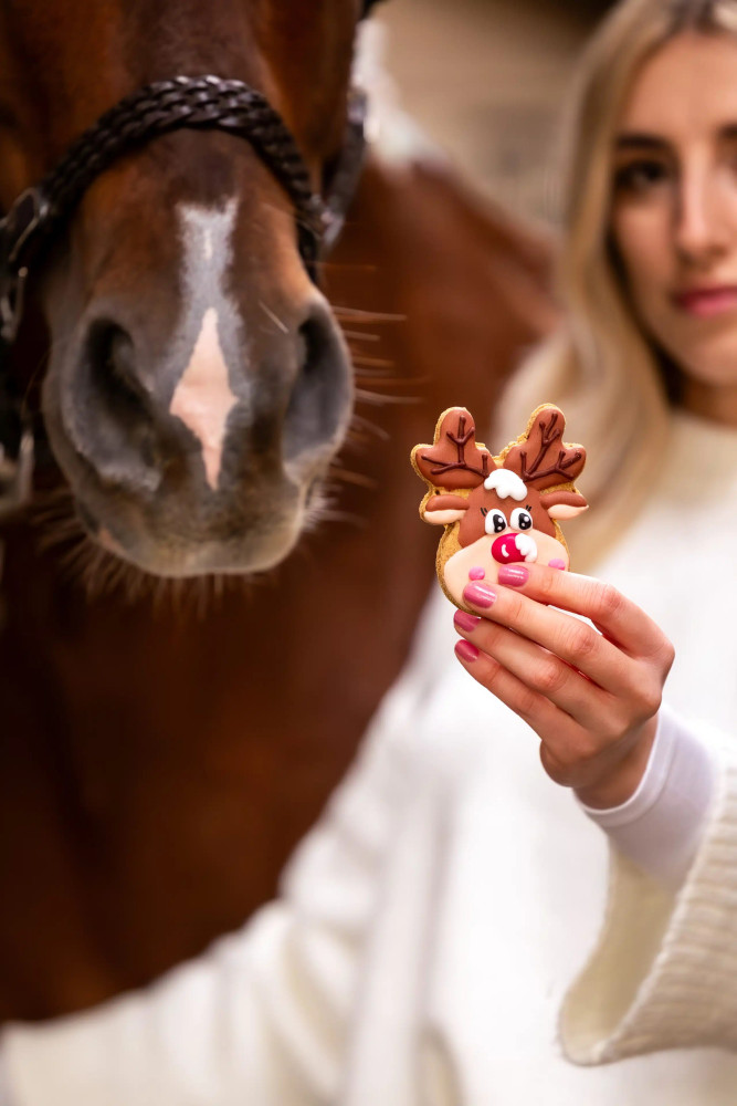Ciasteczko renifer "Christmas" Candy Horse