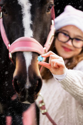 Beziki "Christmas" Candy Horse