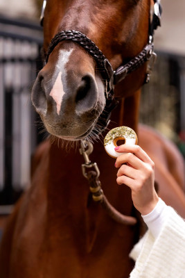 Donuty jaśmin z pietruszką "Christmas" Candy Horse