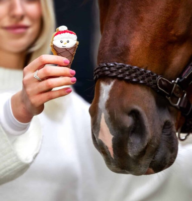 Tarta "Christmas" Candy Horse