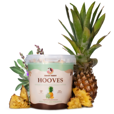 Kopytka szałwia z ananasem Candy Horse