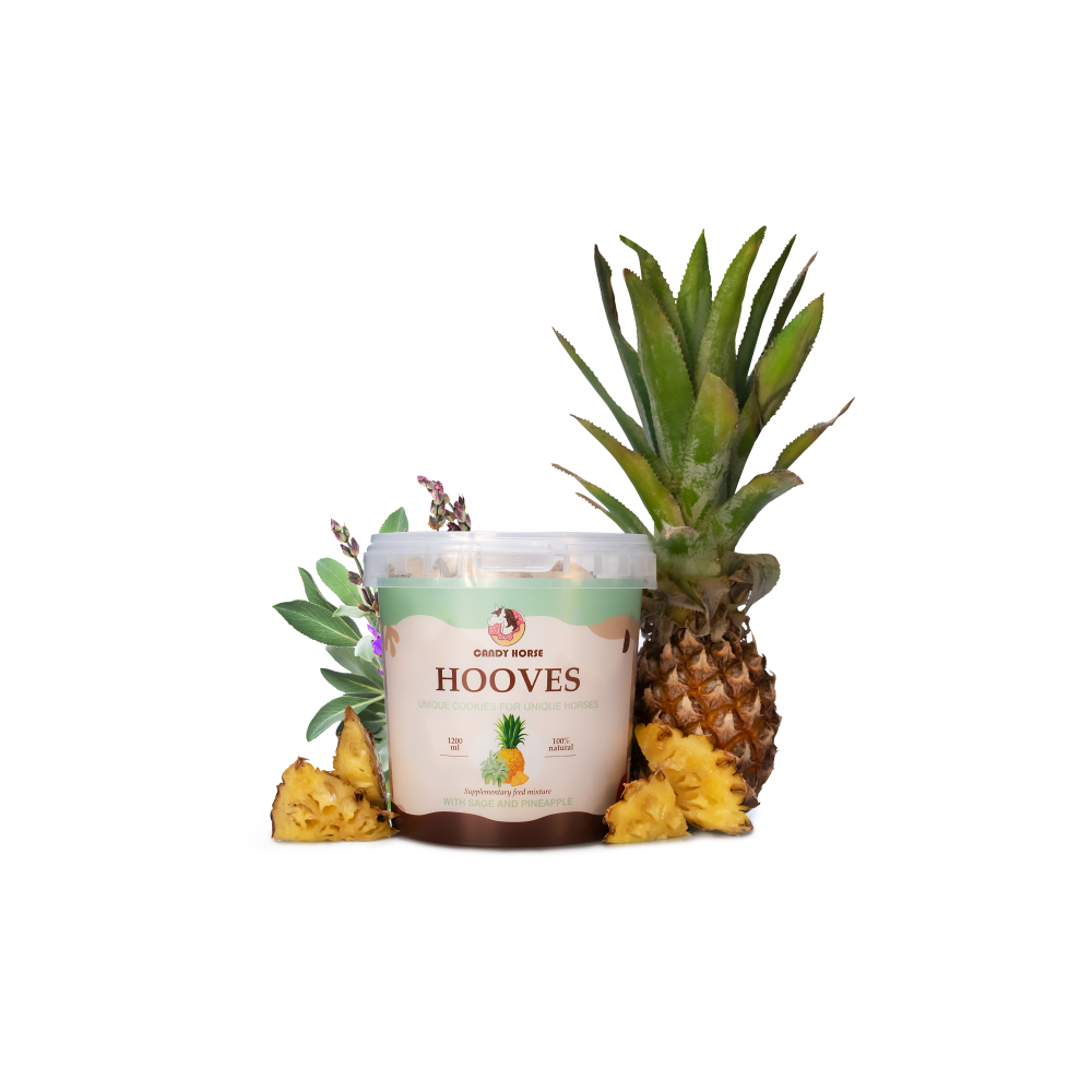 Kopytka szałwia z ananasem Candy Horse
