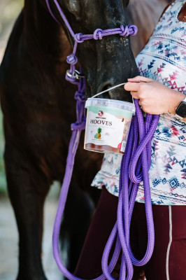 Kopytka szałwia z ananasem Candy Horse