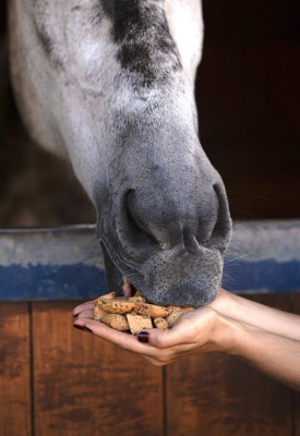 Kopytka winogrono ze słonecznikiem Candy Horse
