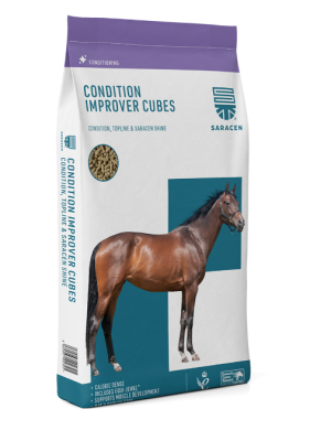Granulat Condition-Improver Cubes 20kg Saracen