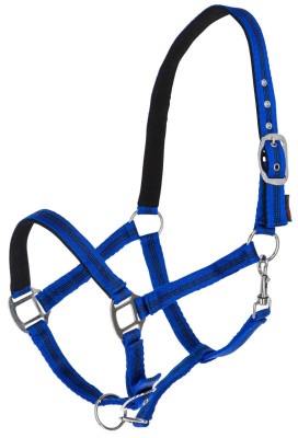 Kantar Mustang Covalliero