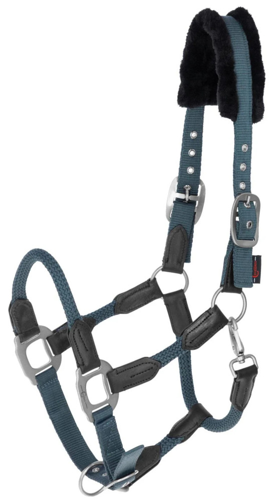 Kantar Cordano Covalliero