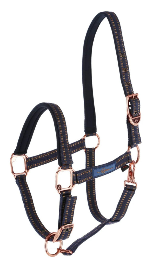 Kantar Royal Covalliero