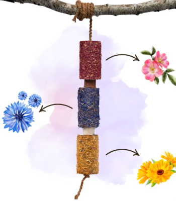 Gryzak ziołowy "Radość" Candy Horse