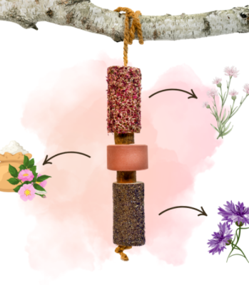 Gryzak ziołowy z lizawką "Brzuszek" Candy Horse