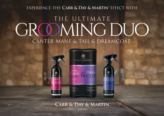 Carr & Day & Martin Mane Tail Dreamcoat DUO