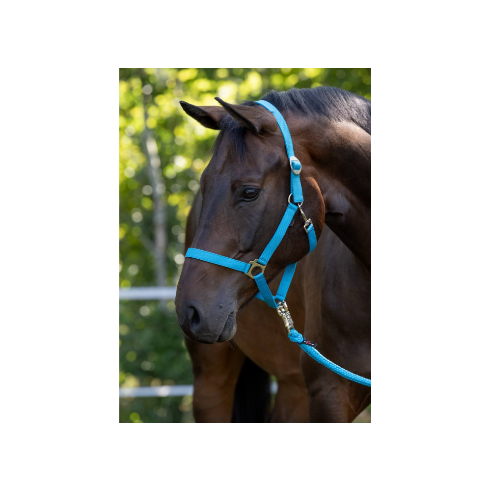 Kantar "Hippo" niebieski Covalliero