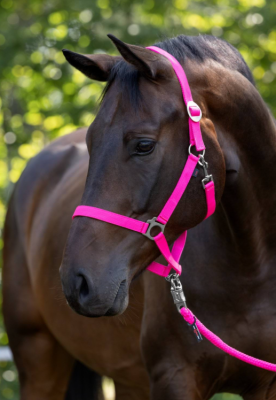 Kantar "Hippo" różowy Covalliero