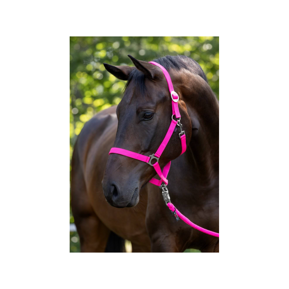 Kantar "Hippo" różowy Covalliero