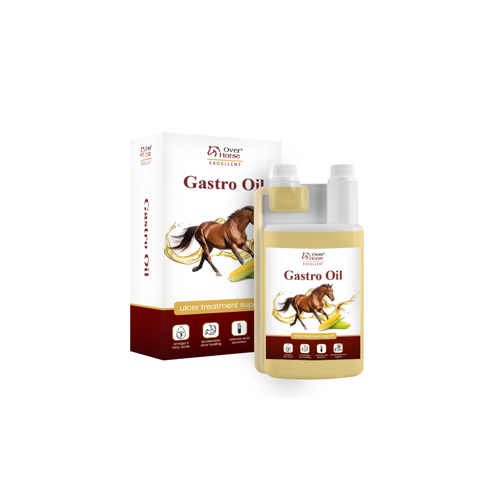Gastro Oil 2 l – olej wspierający konie wrzodowe