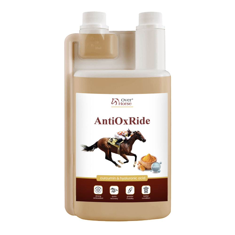 AntiOxRide 1L kurkumina+kwas hialuronowy Over Horse