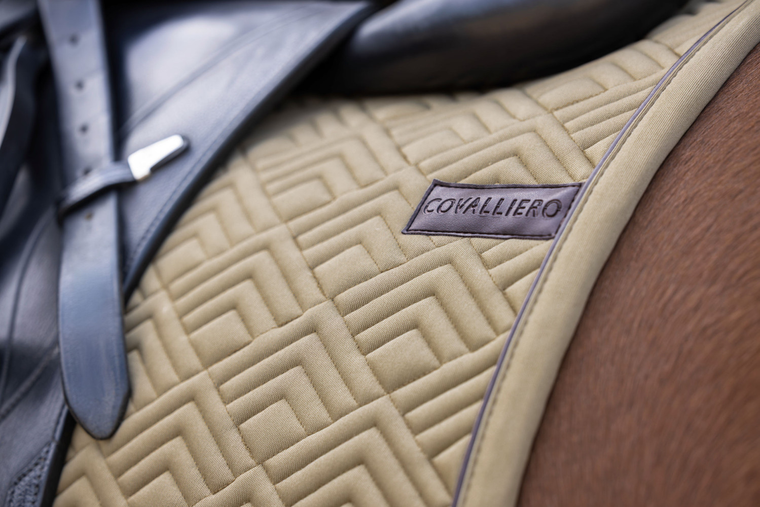 Covalliero czaprak wszechstronny Spring Summer 2026