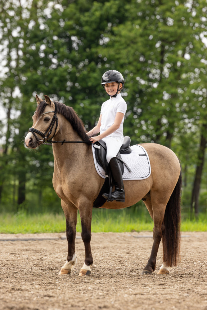 Covalliero czaprak wszechstronny Spring Summer 2026