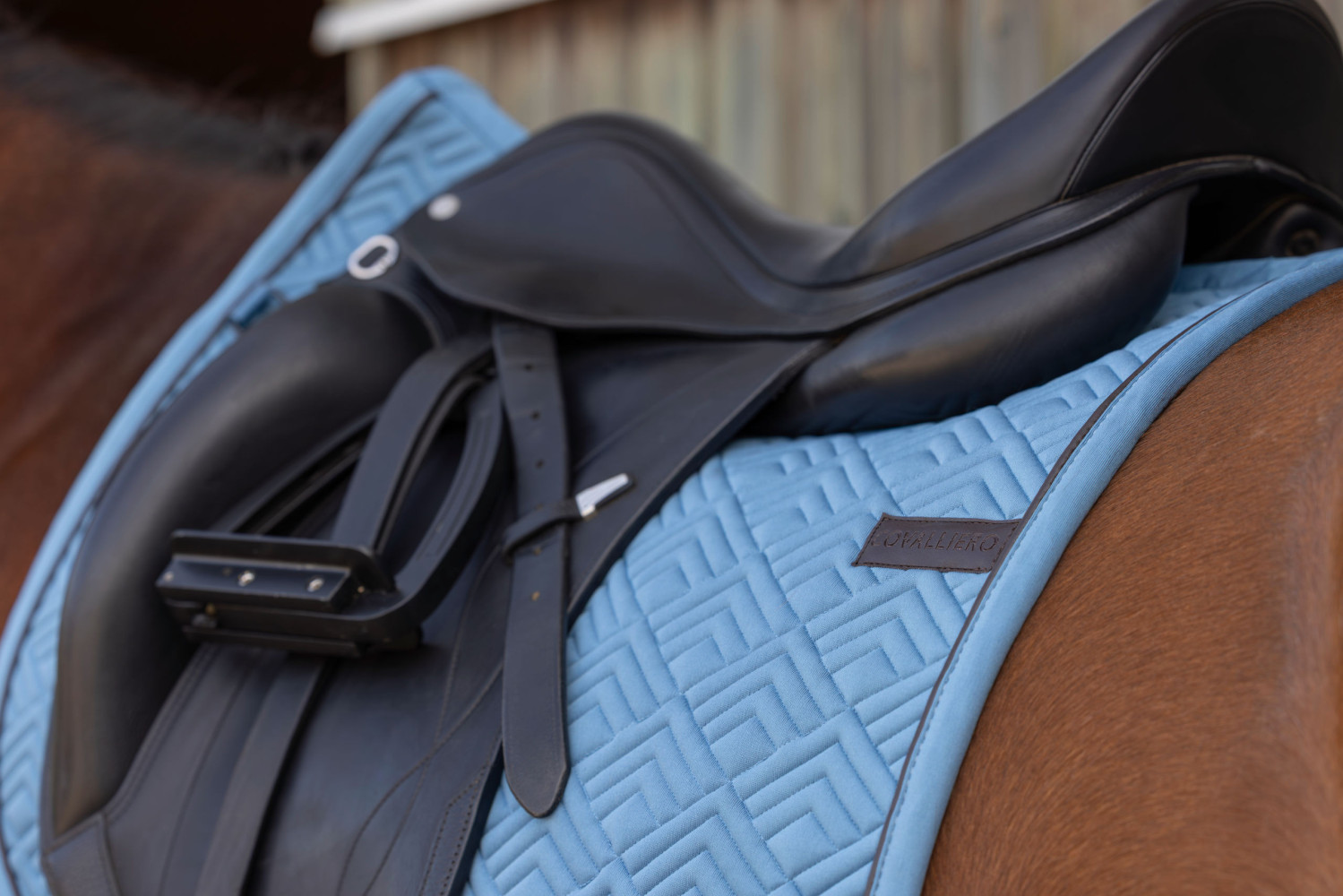 Covalliero czaprak wszechstronny Spring Summer 2026