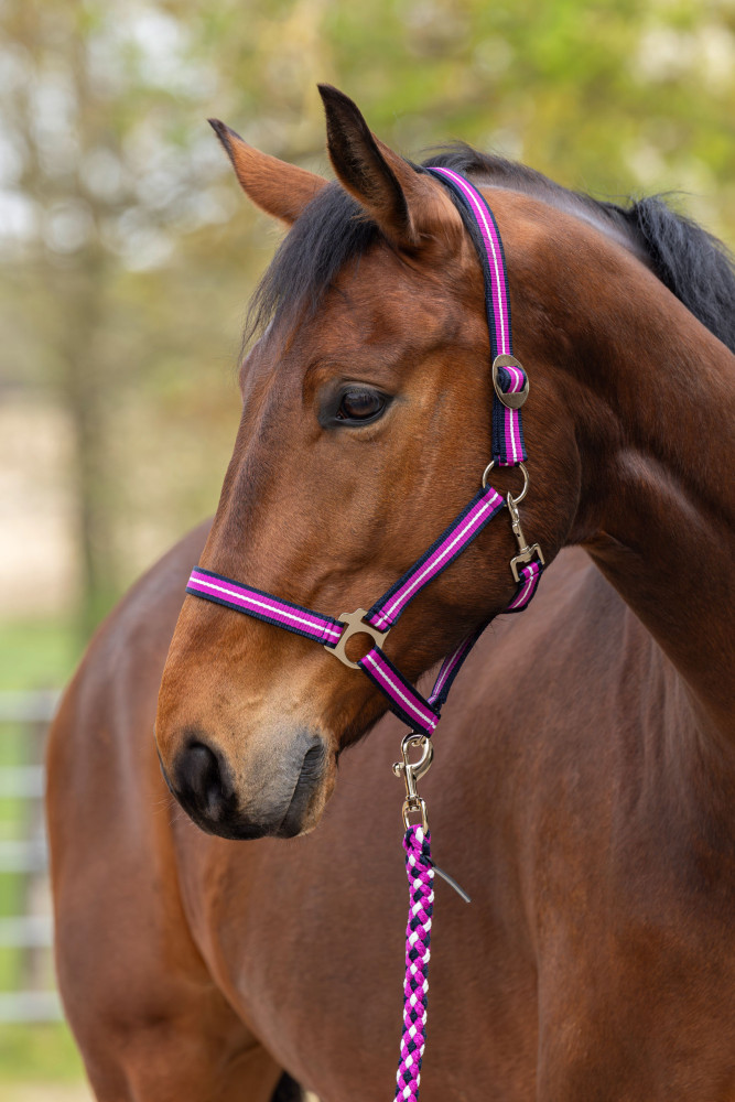 Covalliero kantar Hippo Spring Summer 2026