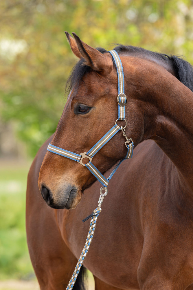 Covalliero kantar Hippo Spring Summer 2026