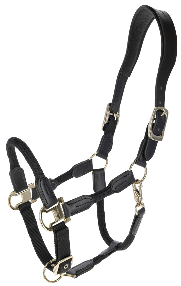 Covalliero kantar Cordano Deluxe Spring Summer 2026