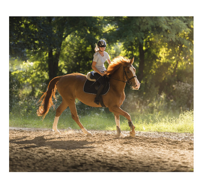 Witajcie w Equestrian Estetiq!