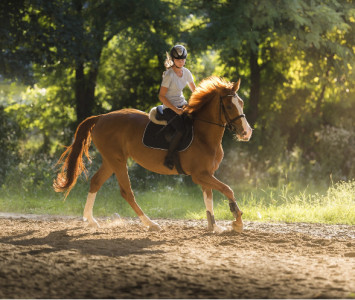 Witajcie w Equestrian Estetiq!