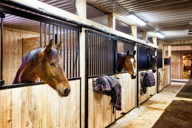 Niezbędne wyposażenie każdej stajni: lista kontrolna