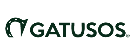 Gatusos